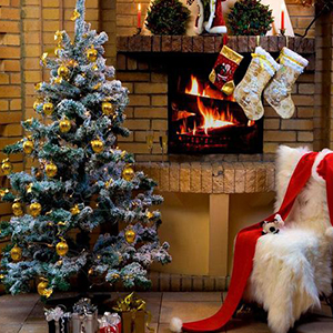 Feliz Navidad y un maravilloso Año Nuevo